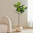 Dlight Decor 113cm Tropical Ficus Tree with Rubber Style Leaves