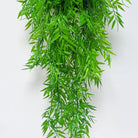 Dlight Decor Hanging Bamboo Vines for Wall and Event Decor