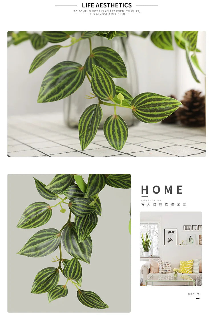 Dlight Decor Scindapsus Vine for Wall Hanging and Garden Styling