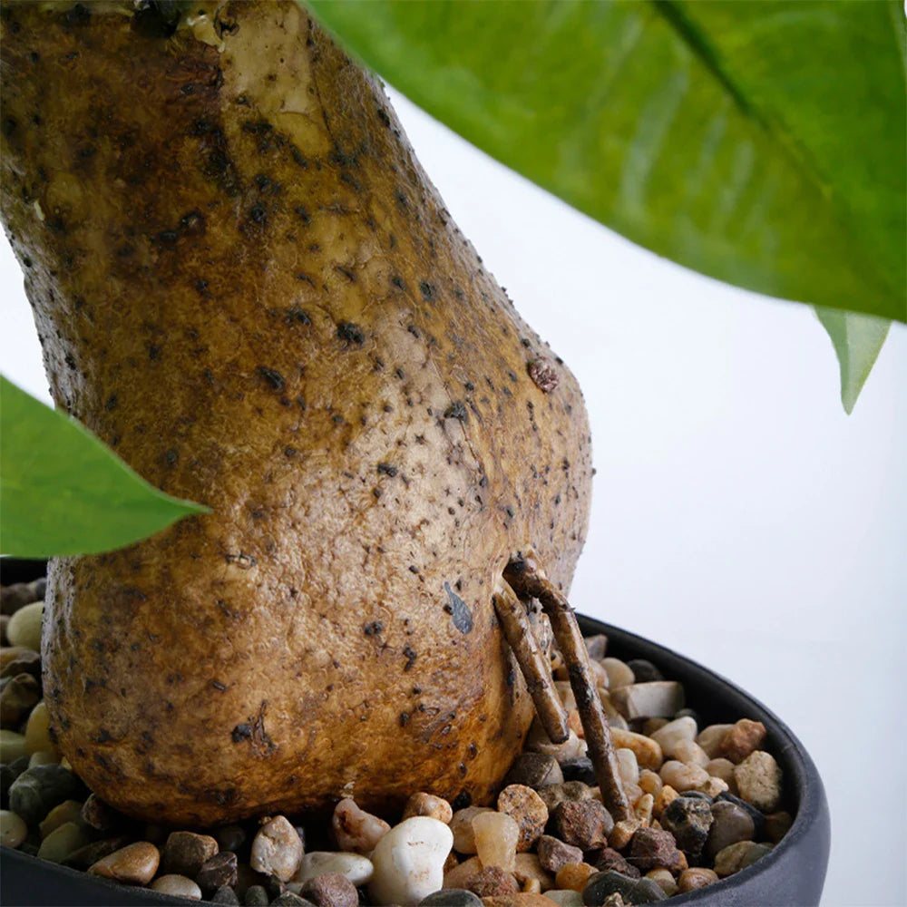 Dlight Decor 43cm Potted Monstera Money Tree for Home and Garden Decor 43cm