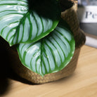 Dlight Decor Monstera Palm Branch for Tropical Home Styling A