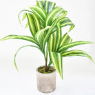 Dlight Decor 43cm Dracaena Air Grass Branch with Bamboo Leaves for Desktop Decor