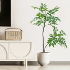 Dlight Decor Ficus Tree for Lush Indoor Outdoor Styling